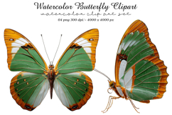 Watercolor Butterfly Clipart Product Image 1