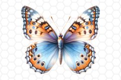 Watercolor Butterfly Clipart Butterfly PNG Design