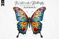 butterfly  png clipart