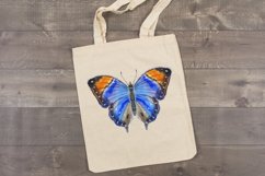 watercolor butterfly sublimation