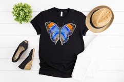 watercolor butterfly sublimation