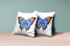 watercolor butterfly sublimation