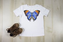 watercolor butterfly sublimation