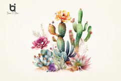 Watercolor Cactus art Sublimation PNG Bundle Product Image 4