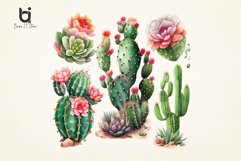 Watercolor Cactus art Sublimation PNG Bundle Product Image 5