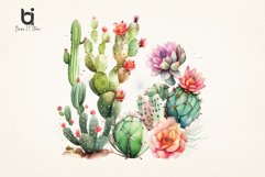 Watercolor Cactus art Sublimation PNG Bundle Product Image 6