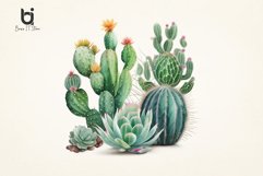 Watercolor Cactus art Sublimation PNG Bundle Product Image 8