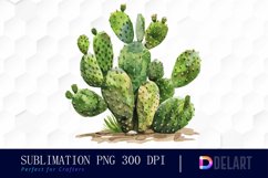 Cactus Watercolor Clipart Product Image 1