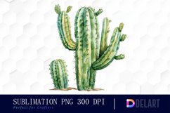 Cactus Illustration Clipart Product Image 1