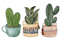 Watercolor Cactus Clipart | House Plants Clipart