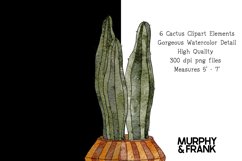 Watercolor Cactus Clipart | House Plants Clipart