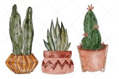 Watercolor Cactus Clipart | House Plants Clipart