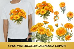 4 png Watercolor Calendula flowers PNG Sublimation Product Image 1