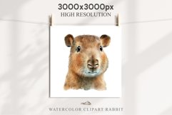 Watercolor Capybara Forest Animals Clipart PNG Illustration Image Watercolor  Transparent Print invitation t-shirt designs sublimation kids printable digital watercolor cute Capybara, Safari Forest Animals clipart, sublimation nursery drawing Savanna