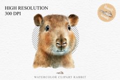 Watercolor Capybara Forest Animals Clipart PNG Illustration Image Watercolor  Transparent Print invitation t-shirt designs sublimation kids printable digital