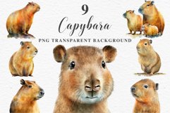 Watercolor Capybara Forest Animals Clipart PNG Illustration Image Watercolor  Transparent Print invitation t-shirt designs sublimation kids printable digital