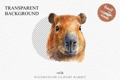 Watercolor Capybara Forest Animals Clipart PNG Illustration Image Watercolor  Transparent Print invitation t-shirt designs sublimation kids printable digital watercolor cute Capybara, Safari Forest Animals clipart, sublimation nursery drawing Savanna
