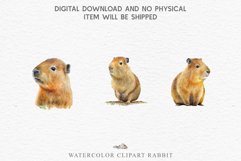 Watercolor Capybara Forest Animals Clipart PNG Illustration Image Watercolor  Transparent Print invitation t-shirt designs sublimation kids printable digital