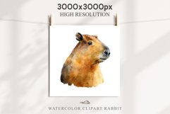 Watercolor Capybara Forest Animals Clipart PNG Illustration Image Watercolor  Transparent Print invitation t-shirt designs sublimation kids printable digital watercolor cute Capybara, Safari Forest Animals clipart, sublimation nursery drawing Savanna