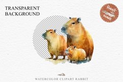 Watercolor Capybara Forest Animals Clipart PNG Illustration Image Watercolor  Transparent Print invitation t-shirt designs sublimation kids printable digital watercolor cute Capybara, Safari Forest Animals clipart, sublimation nursery drawing Savanna