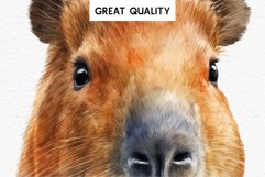 Watercolor Capybara Forest Animals Clipart PNG Illustration Image Watercolor  Transparent Print invitation t-shirt designs sublimation kids printable digital