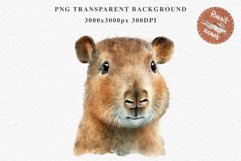 Watercolor Capybara Forest Animals Clipart PNG Illustration Image Watercolor  Transparent Print invitation t-shirt designs sublimation kids printable digital watercolor cute Capybara, Safari Forest Animals clipart, sublimation nursery drawing Savanna