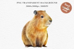 Watercolor Capybara Forest Animals Clipart PNG Illustration Image Watercolor  Transparent Print invitation t-shirt designs sublimation kids printable digital watercolor cute Capybara, Safari Forest Animals clipart, sublimation nursery drawing Savanna