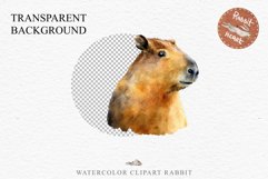 Watercolor Capybara Forest Animals Clipart PNG Illustration Image Watercolor  Transparent Print invitation t-shirt designs sublimation kids printable digital watercolor cute Capybara, Safari Forest Animals clipart, sublimation nursery drawing Savanna