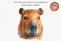Watercolor Capybara Forest Animals Clipart PNG Illustration Image Watercolor  Transparent Print invitation t-shirt designs sublimation kids printable digital watercolor cute Capybara, Safari Forest Animals clipart, sublimation nursery drawing Savanna