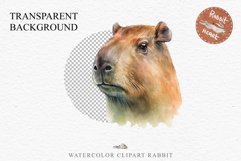 Watercolor Capybara Forest Animals Clipart PNG Illustration Image Watercolor  Transparent Print invitation t-shirt designs sublimation kids printable digital watercolor cute Capybara, Safari Forest Animals clipart, sublimation nursery drawing Savanna
