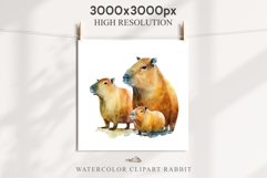 Watercolor Capybara Forest Animals Clipart PNG Illustration Image Watercolor  Transparent Print invitation t-shirt designs sublimation kids printable digital watercolor cute Capybara, Safari Forest Animals clipart, sublimation nursery drawing Savanna