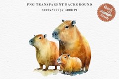 Watercolor Capybara Forest Animals Clipart PNG Illustration Image Watercolor  Transparent Print invitation t-shirt designs sublimation kids printable digital watercolor cute Capybara, Safari Forest Animals clipart, sublimation nursery drawing Savanna