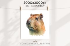 Watercolor Capybara Forest Animals Clipart PNG Illustration Image Watercolor  Transparent Print invitation t-shirt designs sublimation kids printable digital watercolor cute Capybara, Safari Forest Animals clipart, sublimation nursery drawing Savanna