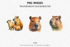 Watercolor Capybara Forest Animals Clipart PNG Illustration Image Watercolor  Transparent Print invitation t-shirt designs sublimation kids printable digital