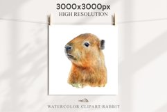Watercolor Capybara Forest Animals Clipart PNG Illustration Image Watercolor  Transparent Print invitation t-shirt designs sublimation kids printable digital watercolor cute Capybara, Safari Forest Animals clipart, sublimation nursery drawing Savanna