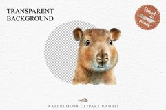 Watercolor Capybara Forest Animals Clipart PNG Illustration Image Watercolor  Transparent Print invitation t-shirt designs sublimation kids printable digital watercolor cute Capybara, Safari Forest Animals clipart, sublimation nursery drawing Savanna