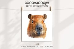 Watercolor Capybara Forest Animals Clipart PNG Illustration Image Watercolor  Transparent Print invitation t-shirt designs sublimation kids printable digital watercolor cute Capybara, Safari Forest Animals clipart, sublimation nursery drawing Savanna