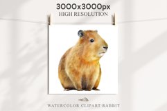Watercolor Capybara Forest Animals Clipart PNG Illustration Image Watercolor  Transparent Print invitation t-shirt designs sublimation kids printable digital watercolor cute Capybara, Safari Forest Animals clipart, sublimation nursery drawing Savanna
