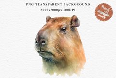 Watercolor Capybara Forest Animals Clipart PNG Illustration Image Watercolor  Transparent Print invitation t-shirt designs sublimation kids printable digital watercolor cute Capybara, Safari Forest Animals clipart, sublimation nursery drawing Savanna