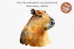 Watercolor Capybara Forest Animals Clipart PNG Illustration Image Watercolor  Transparent Print invitation t-shirt designs sublimation kids printable digital watercolor cute Capybara, Safari Forest Animals clipart, sublimation nursery drawing Savanna