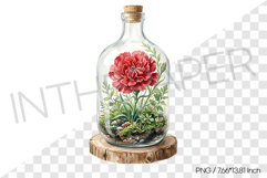 Red Carnation Glass Terrarium PNG Clipart Flower Watercolor Product Image 1