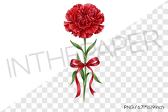 Red Carnation with Red Ribbon PNG Clipart Flower Watercolor Product Image 1