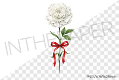 White Carnation with Red Ribbon PNG Clipart Flower Illust Product Image 1