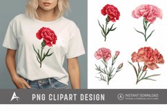 Watercolor Carnation Clipart Product Image 1