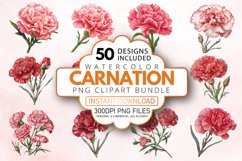 Watercolor Carnation Clipart Bundle Product Image 1