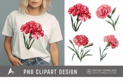 Watercolor Carnation Clipart Product Image 1