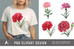 Watercolor Carnation Flower Clipart Product Image 1