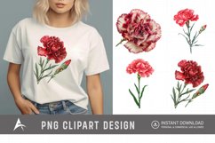 Watercolor Carnation Flower Clipart Product Image 1