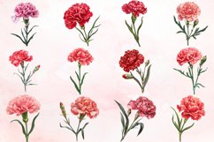 Watercolor Carnation Flower Clipart Bundle Product Image 2