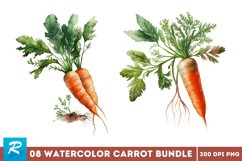 Watercolor Carrots,Watercolor Clipart,Digitalartsi Clipart,Jane Cide,Carrot Graphics,spring carrots,watercolor carrots,watercolor clipart,carrots clipart,carrot graphics,healthy food,vegan clipart,carrot clipart,easter carrots png,carrots jpg,easter clipa